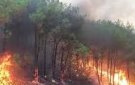 Bài tuyên truyền phòng cháy và chữa cháy rừng mùa nắng nóng
